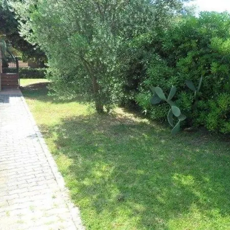 Mit Gemeinschaftspool Und Ausgestatteter Veranda Apartamento *